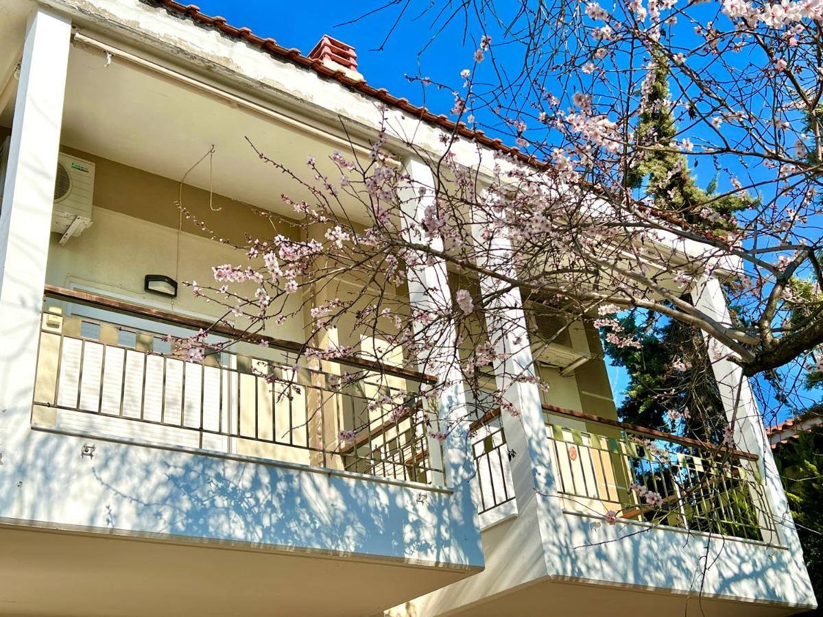 Nikiti Beach Houses Εξωτερικό φωτογραφία