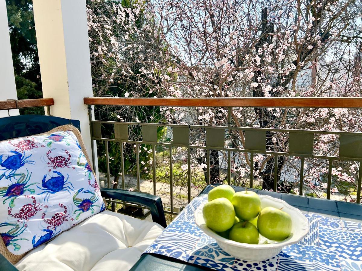 Nikiti Beach Houses Εξωτερικό φωτογραφία